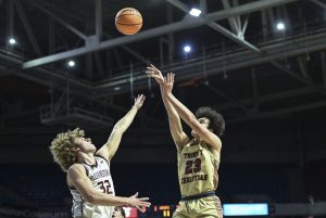 Trinity's Carter Hartock named 2nd-team all-state in Class AA